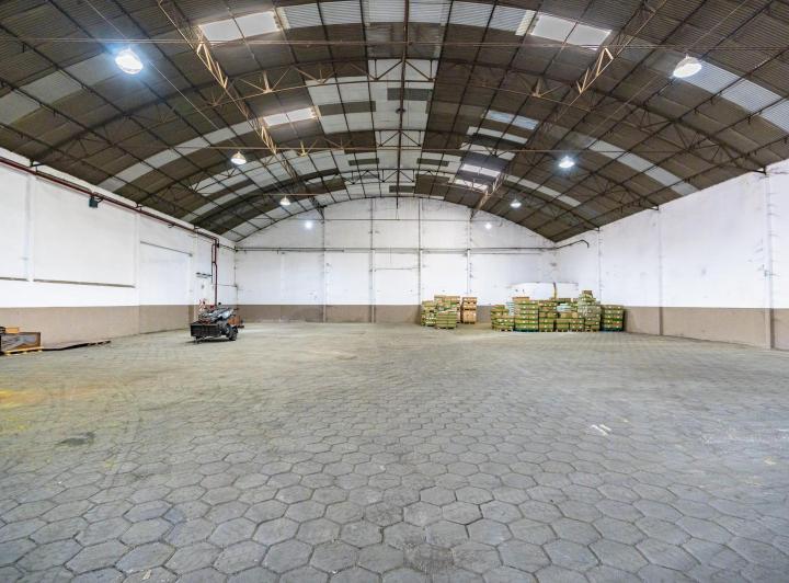 Bodega-Galpón · 1185m²