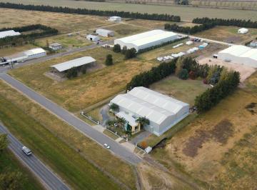 Bodega-Galpón · 2500m² · Alquiler Nave Industrial