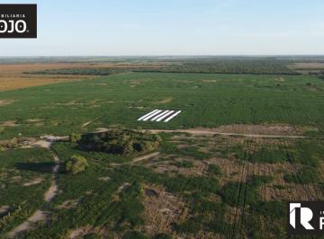 Campo · Campo en La Francia