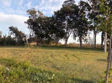 Terreno · 547m² · Lote en Los Pinos 3. Piñeiro