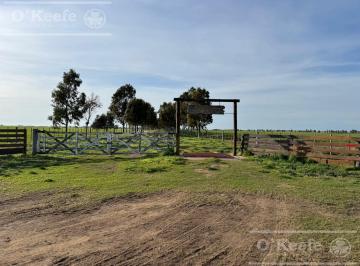 Campo · 8300000ha · Campo Mixto en Venta de 830 Has - Coronel Dorrego