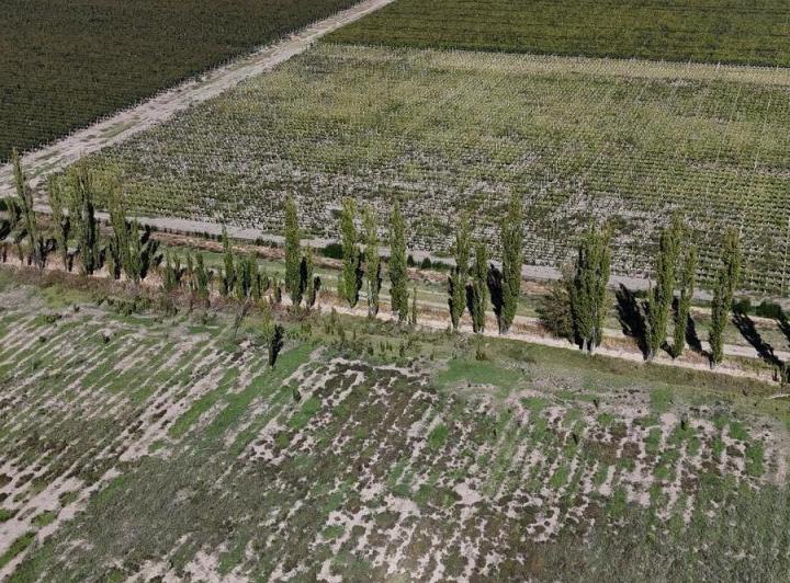Terreno