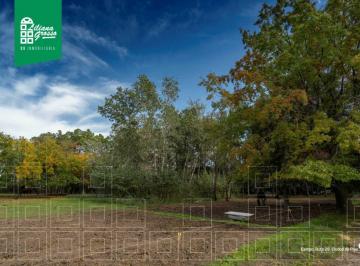 LGP-LGP-509_2 · Campo 1.58 Hectáreas |. | Ruta 28
