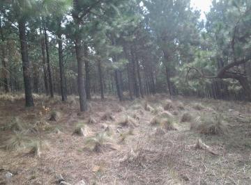 Campo , Villa Berna · Villa Berna, Calamuchita, Córdoba, 10 Ha en Zona Semirural