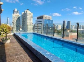 Departamento de 1 ambiente, Palermo · Excelente Monoambiente Impecable Full Amenities