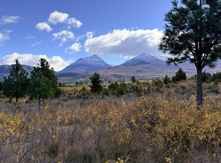 Terreno · 10000m²