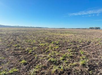 Campo , Mercedes · Campo en Venta – 38 Hectáreas – Partido de Mercedes, Buenos Aires