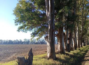 Terreno , San Pedro · Impresionante Parcela Rural en Camino Entre Gobernador Castro y Vta de Obligado