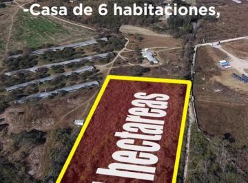 Terreno · 40000m² · Finca (4 Has) en Venta - El Encon, en Las Inmediaciones de La Silleta y San Luis