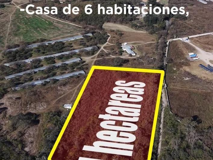 Terreno · 40000m²