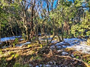 Terreno · 1912m² · Co Runge Barrio Belgrano - Bariloche