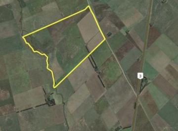 FRI-FZ1-1236_2 · Venta Campo 339ha en Tres Arroyos, Buenos Aires