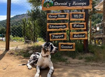 Terreno · Hermoso Camping con Complejo de Dormís y Piscina