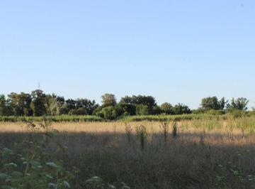 Campo · 400ha · 10 Ambientes · 10 Cocheras · Venta Campo General Rodriguez Zona Oeste Argentina Fraccionable
