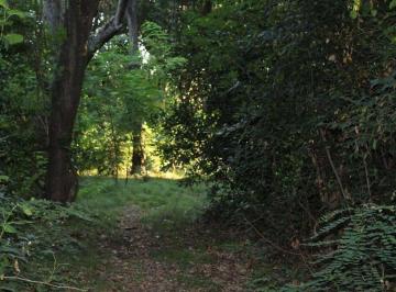 Campo · 400ha · 10 Ambientes · 10 Cocheras · Venta Campo General Rodriguez Zona Oeste Argentina Fraccionable