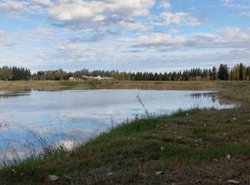 Terreno · 1350m² · Terreno en Venta - - 1350 m - Coronel Brandsen