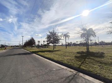 Terreno · 300m² · Terreno en Venta Lomas de Alicia - Baigorria