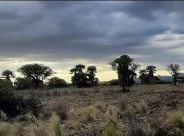 Campo · 70000m² · 1 Ambiente · Campo en Ruta 15 Chamico Pedania Salsacate