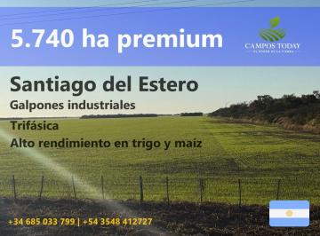 Campo , Otumpa · Vendo: Campo Agrícola de Alta Escala en Rp6, Santiago del Estero, 5.740 Ha con Infraestructura