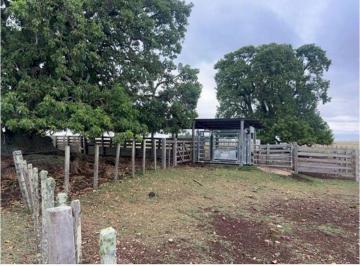 Campo , Uruguay · Vendo Campo Ganadero–forestal en Tacuarembó 6.685 Ha con Infraestructura y Suelos Basálticos