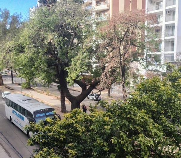 Departamento · 58m² · 3 Ambientes