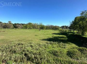 Terreno · 68200m² · Terreno - Venta - Zárate