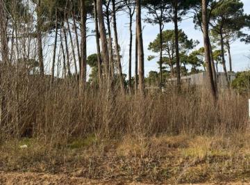 SCZ-SC2-265_2 · Lote en Barrio Alamos - Pinamar Norte