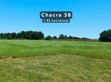 Chacra 38: 1,92 ha de naturaleza y amplitud · Dueño Directo – Chacra de 1,92 Ha con Fondo Al Camino Ecuestre