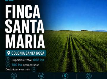 Campo , Colonia Santa Rosa · Finca en Venta | Colonia Santa Rosa, Salta
