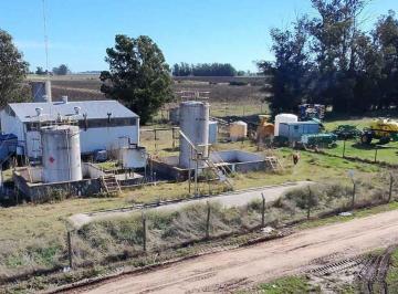 Campo · 1100ha · Venta de Planta Oleaginosa en Lobería