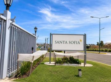Terreno , Pilar · Lote en Venta Barrio Santa Sofia Pilar del Este