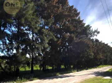 Terreno · 271m² · Terreno en Barrio Cerrado Atilio III 8 y 495