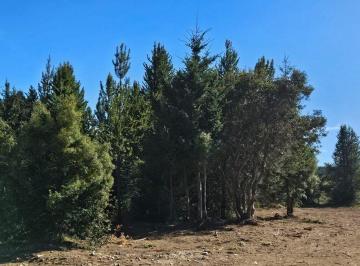 Terreno · 322m² · Venta de Lote