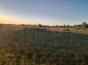 Campo · 56m² · Venta - Campo Citrícola/hortícola - Ganadero - Bella Vista - Corrientes