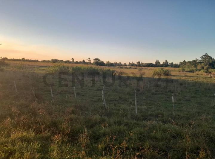Campo · 56m²