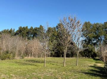 Terreno · 1296m² · Terreno en Frente a Don Mateo - Funes - 1296 m²