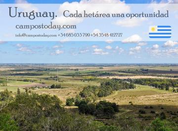 Campo , Uruguay · Campo Agrícola y Ganadero en Soriano, Uruguay