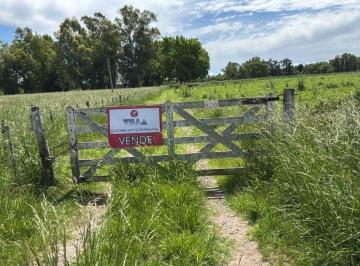 Campo , San Miguel del Monte · Venta de Campo en San Miguel del Monte - 11ha