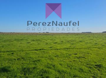Terreno , Las Flores · Terreno 16 Ha a m de Ruta 91/30