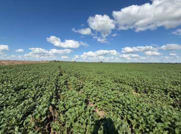 Campo · 14ha · Campo a La Venta en Esther Departamento San Justo