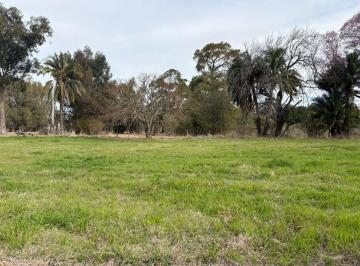 Terreno · 465m² · Terreno en Desvio Arijon