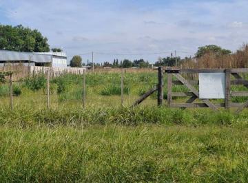 Terreno · 560m² · Lote en Venta en Pehuajó