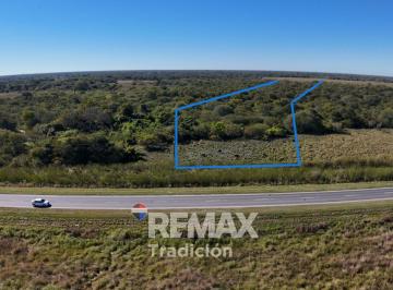 Terreno · 39596m² · Terreno en Venta Sobre Rn Nº11 Km 1012 – 4 Ha