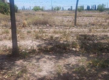 Terreno · 1008m² · Venta de Lote. superficie: 1000 m