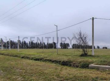 Terreno · 338m² · Terreno de 12 X 28,19 m en Loteo Don Basilio.