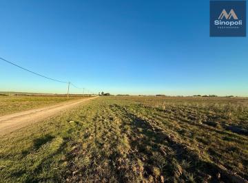 Terreno · 44988m² · Venta de Ha (4 y 5) - 207 y 90 - L. Olmos