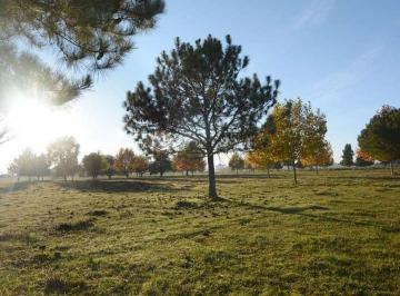 Terreno · 1169m² · Km 185, Autovia 6
