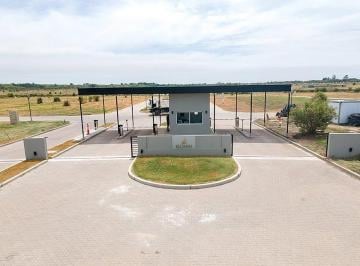 Terreno · 794m² · Elcano II