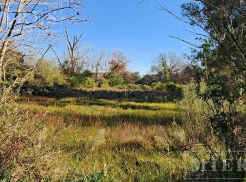 Terreno · 22000m² · Lote de 22.000 m² en Alquiler en Pilar