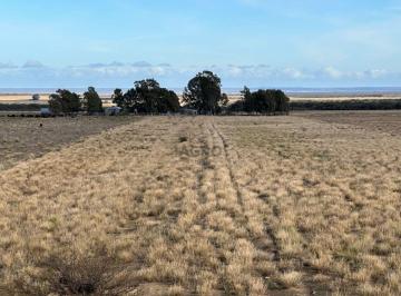 Campo , Villarino · 674 Ha La Mascota - en Venta